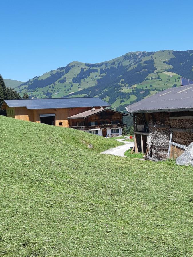 Ferienwohnung Schatzhof Jochberg Ngoại thất bức ảnh